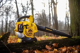 Воздуходувки