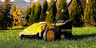 Скарификаторы